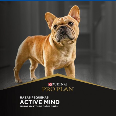 Pro Plan Perro Senior Active Mind 7+ Razas Pequeñas - proplan 