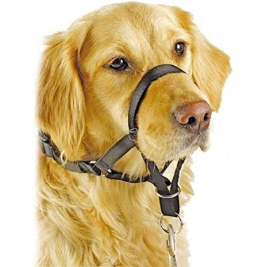 Cabestro para Perros - Pawise Dog Head Collar - Pawise 