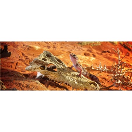 Exo Terra CROCODILE SKULL Escondite para reptiles - exoterra 