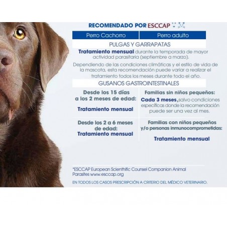 Nexgard SPECTRA Antiparasitario Perros entre 30,1 a 60 Kg. 1 dosis - NEXGARD SPECTRA 