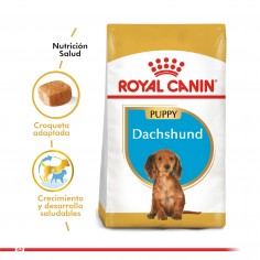 Royal Canin - Perro - Dachshund Puppy 2,5Kg. - Royal Canin 