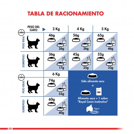 Royal Canin - Gato Indoor Home Life 27 para Gatos de Interior 1,5 Kg. - Royal Canin 