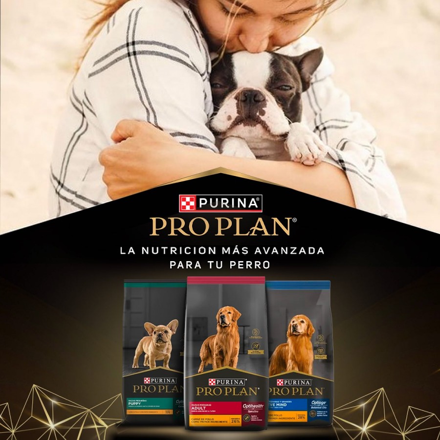 ¿Qué hace a Pro Plan para perros la elección perfecta para tu mascota?
